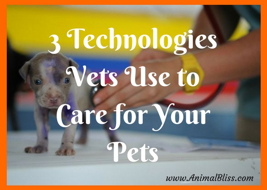 Humans are not the only ones that benefit from tech advances. Here are 3 technologies vets use to care for your furry friends.