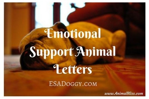 Emotional Support Animal Letters - ESADoggy