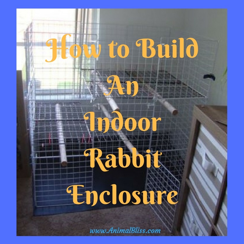 How to Build an Indoor Rabbit Enclosure