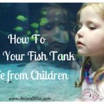 How to Keep Your Fish Tank Safe from Children