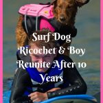 Surf Dog Ricochet Reunited with Quadriplegic Boy after 10 Years