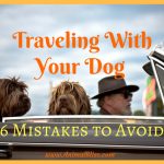 6 Mistakes to Avoid When Traveling With Your Dog