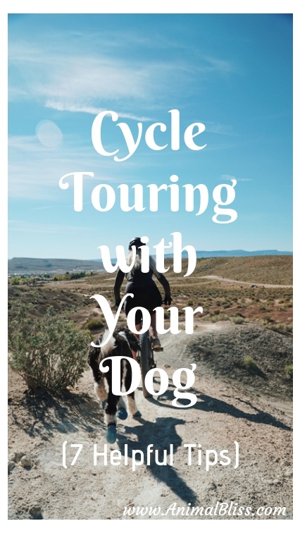 Cycle Touring with Your Dog - 7 Helpful Tips