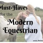 5 Must Haves for the Modern Equestrian for Top Performance