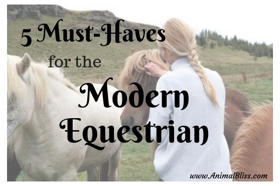 5 Must Haves for the Modern Equestrian for Top Performance