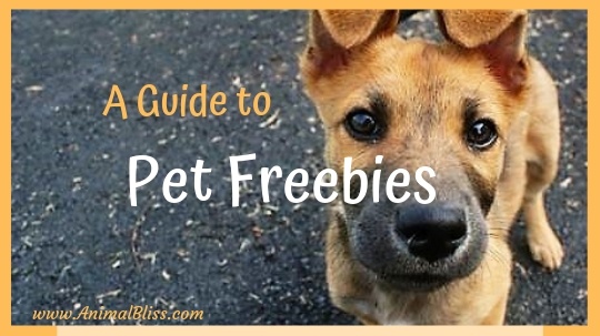 A Guide to Pet Freebies, Free Stuff for Pet Owners