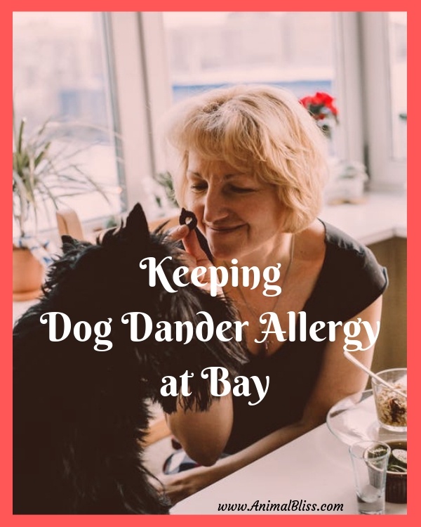 Keeping Dog Dander Allergy at Bay