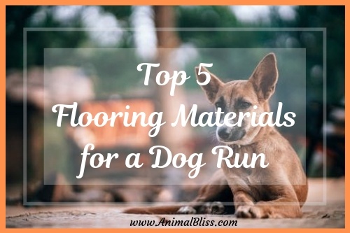 Top 5 Flooring Materials for a Dog Run