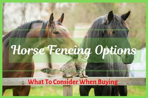 Horse Fencing Options and What To Consider When Buying