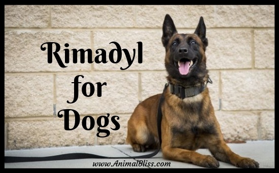 rimadyl side effects canine