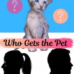 Who Gets Custody of a Pet After a Breakup?