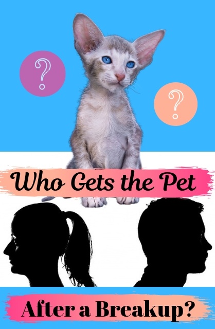 Who Gets the Pet After a Breakup?