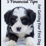 5 Financial Tips for Getting Your First Dog