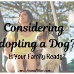 Considering Adopting a Dog? Is Your Family Ready?
