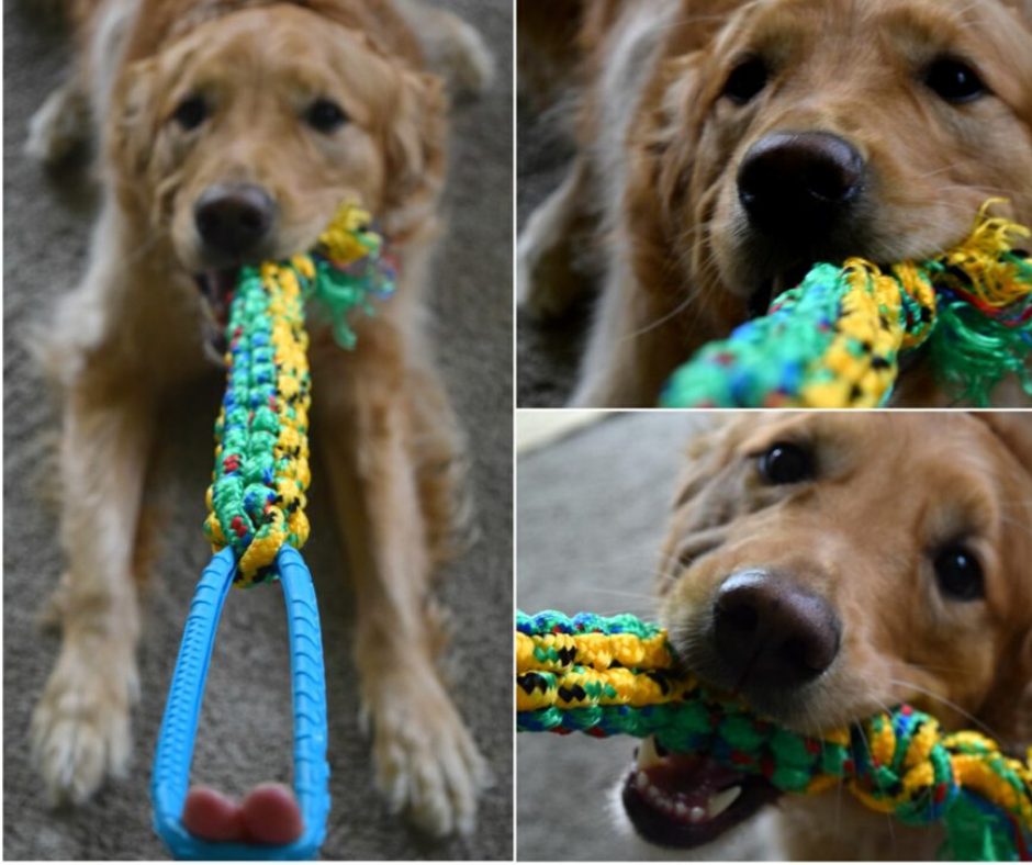 Rope Toys