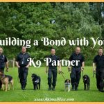 Building a Bond with Your K9 Partner