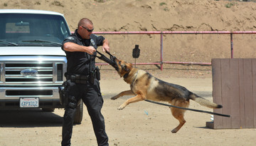 Building a Bond with Your K9 Partner