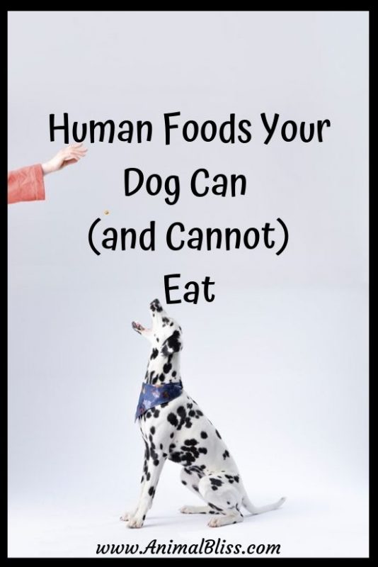 50 Human Foods Your Dog Can (and Cannot) Eat