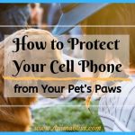 How to Protect Your Cell Phone from Your Pet’s Paws
