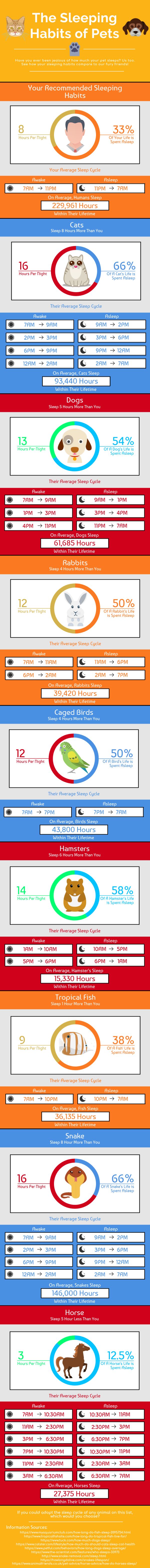 Sleeping Habits of Pets: How Do You Compare?