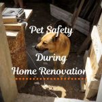 Tips for Pet Safety During Home Renovations
