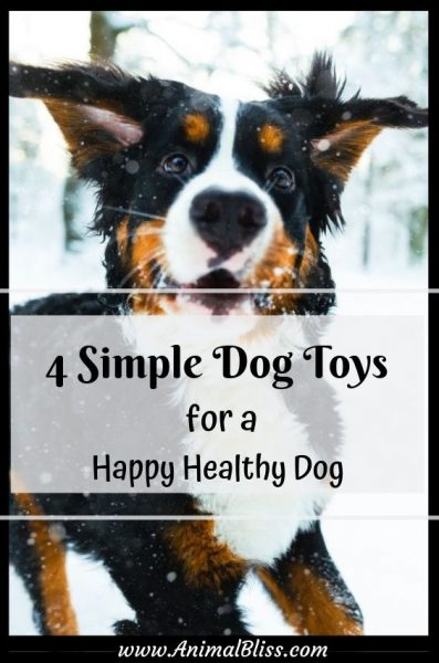 nofollow noopener 4 Simple Dog Toys for a Happy Healthy Dog