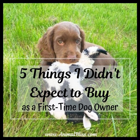 First time dog owner checklist