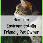 5 Tips For Being an Environmentally Friendly Pet Owner
