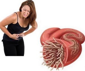 Roundworm Roundworm Infestation