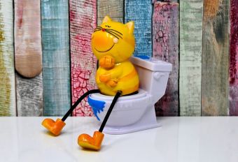 nofollow noreferrer no opener Best Non-Tracking Cat Litter Review 2019