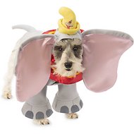 Cute Halloween Costume Ideas for Your Pets