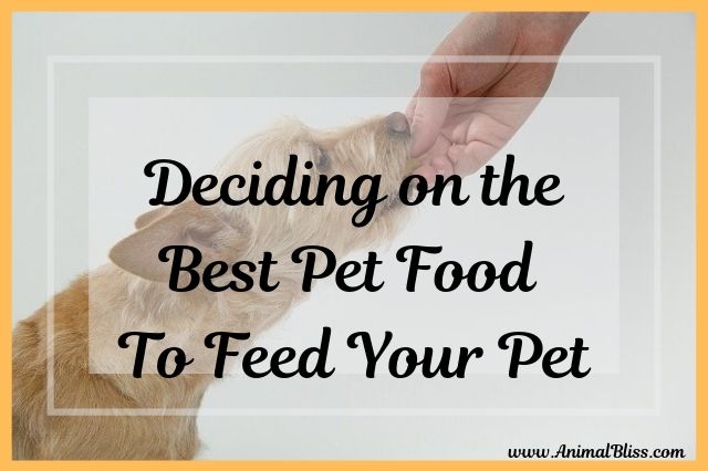 Deciding on the Best Pet Food to Feed Your Pet