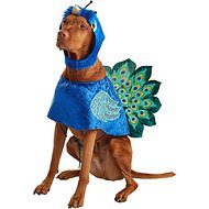 Cute Halloweed Costume Ideas for Your Pets