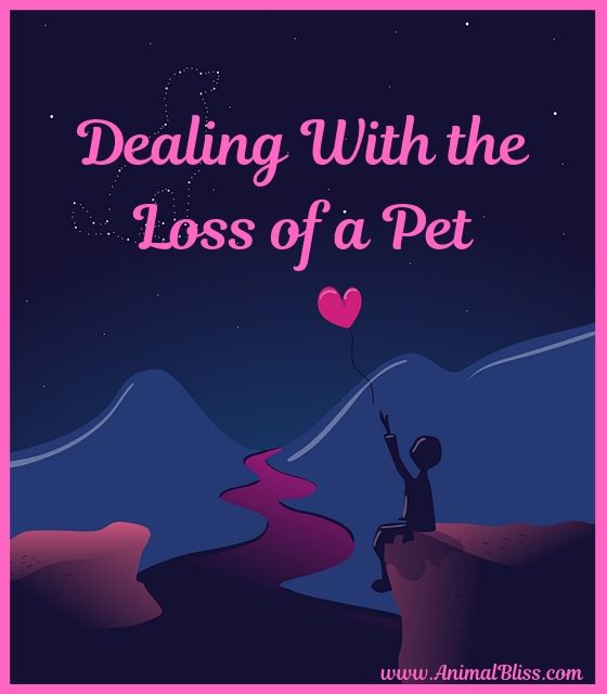 Dealing With the Loss of a Pet: Easing The Grieving Process