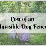 How Much Does an Invisible Dog Fence Cost?