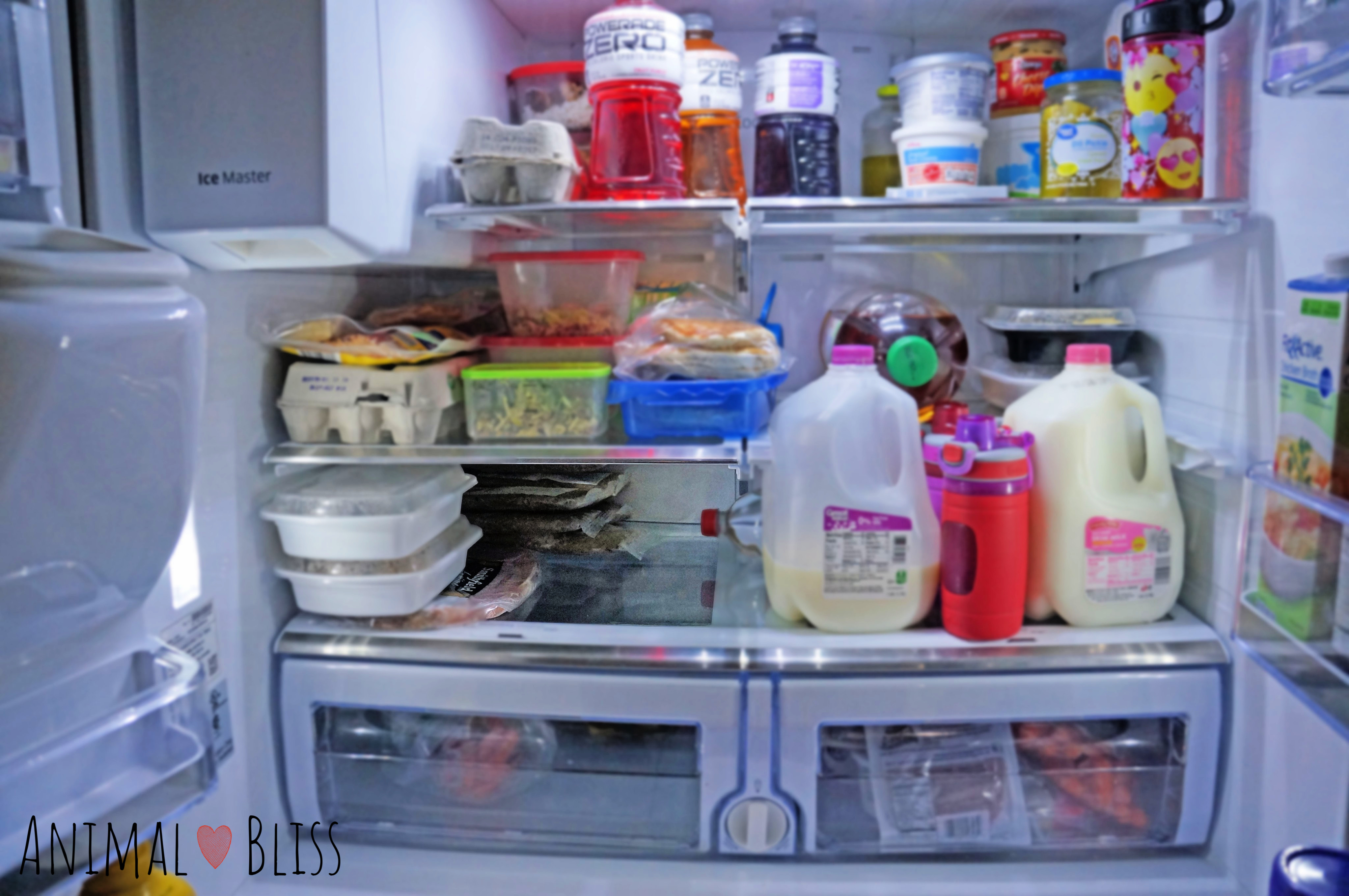 Thawing several days worth of The Farmer's Dog Food in the refrigerator