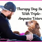 Therapy Dog Surfs With Triple-Amputee Veteran, Healing Power of Dogs