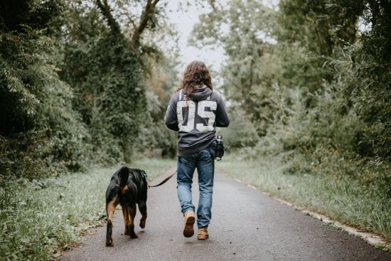 Planning Your First Trip to the Dog Park