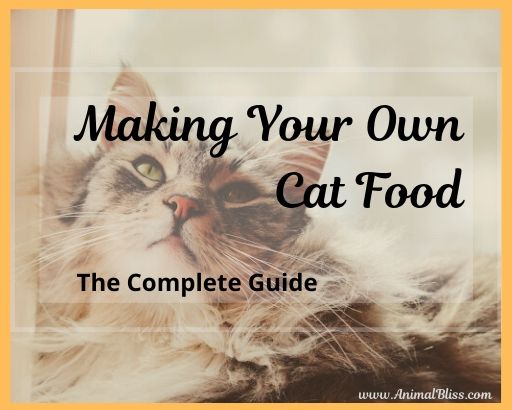 Making Your Own Cat Food: The Complete Guide