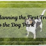 Planning Your First Trip to the Dog Park