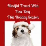 Mindful Travel With Your Dog This Holiday Season
