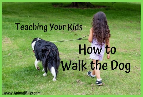 Teaching Your Kids to Walk the Dog