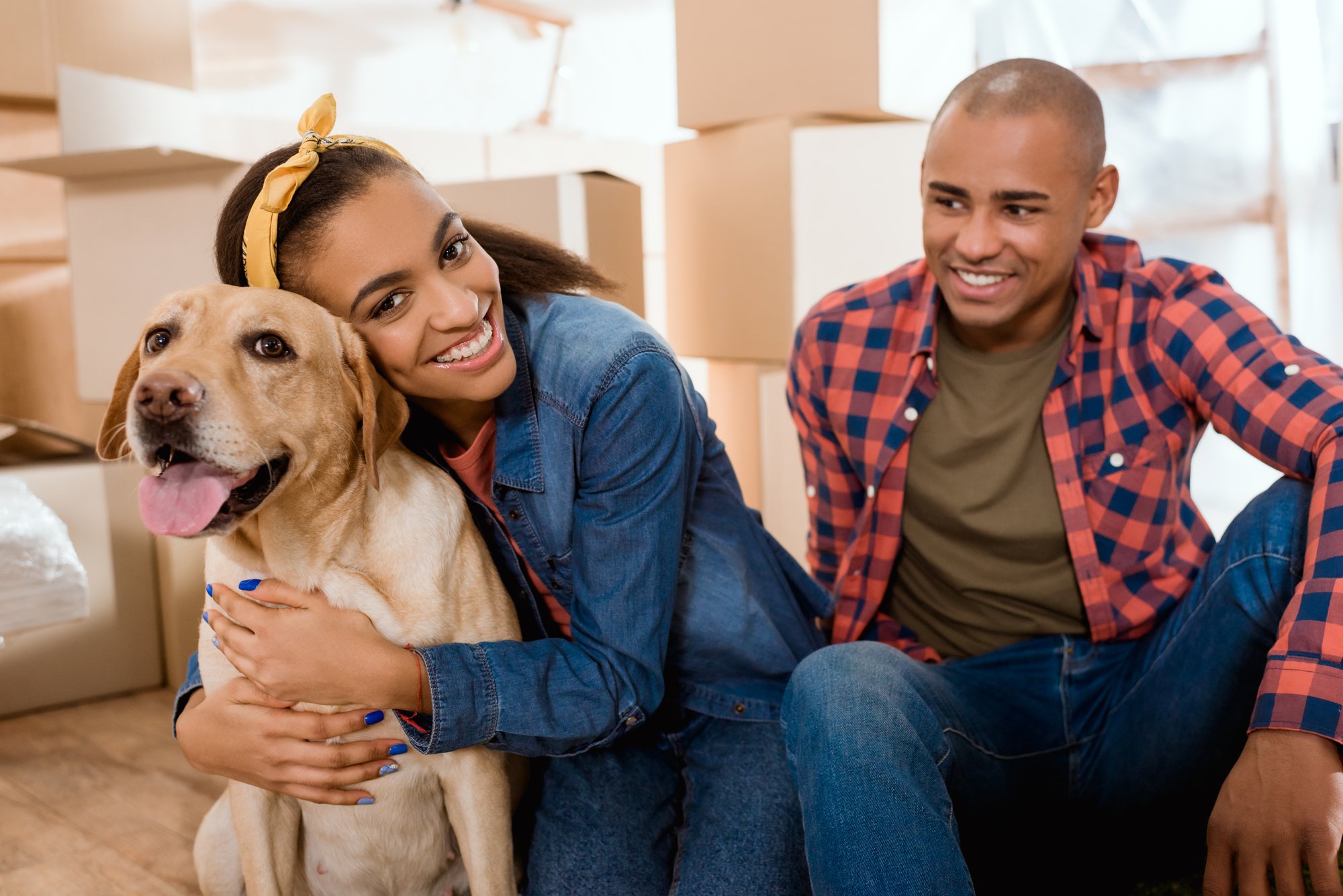 Tips for moving with your dog